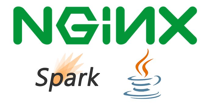 Building a secured Java web server using Spark framework and Nginx